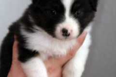 WhatsApp-Bild-2023-04-25-um-12.19.28