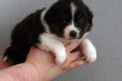 WhatsApp-Bild-2023-04-25-um-12.20.47